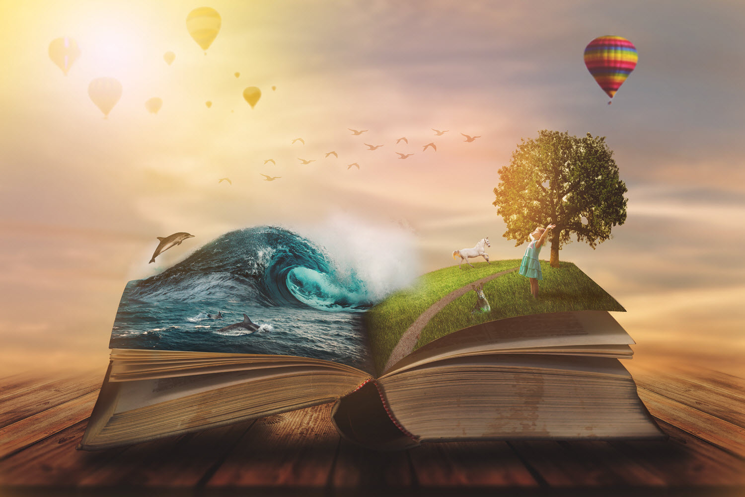 openbook-imagination